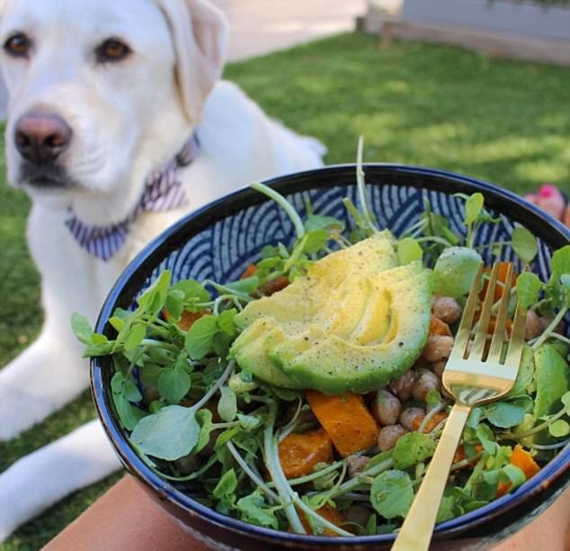 http://www.dailymail.co.uk/femail/article-4910000/Meet-Victorian-couple-s-VEGAN-dog-eats-berries.html