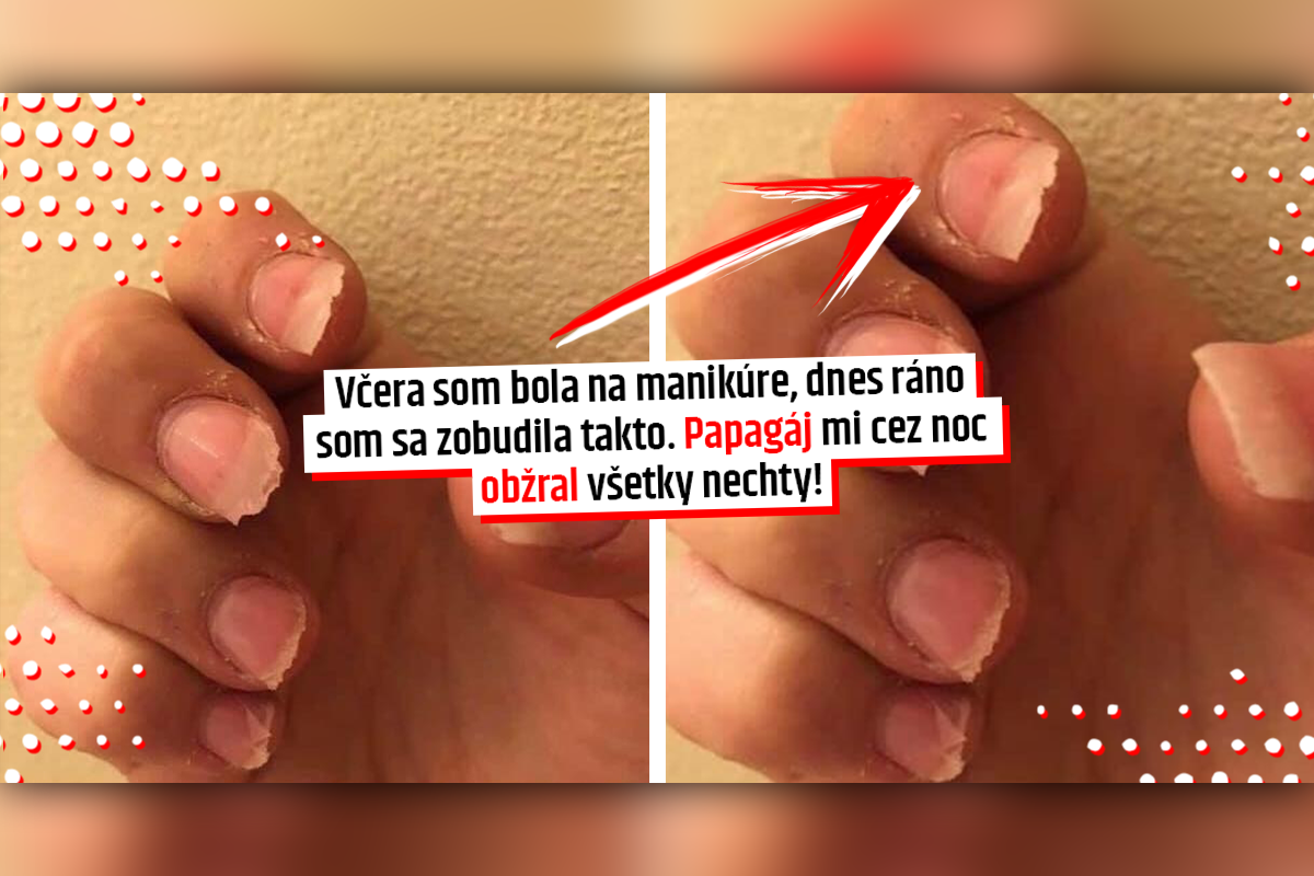 Fotografie, pri ktorých ti od jedu a hnusu prebehnú po chrbte zimomriavky