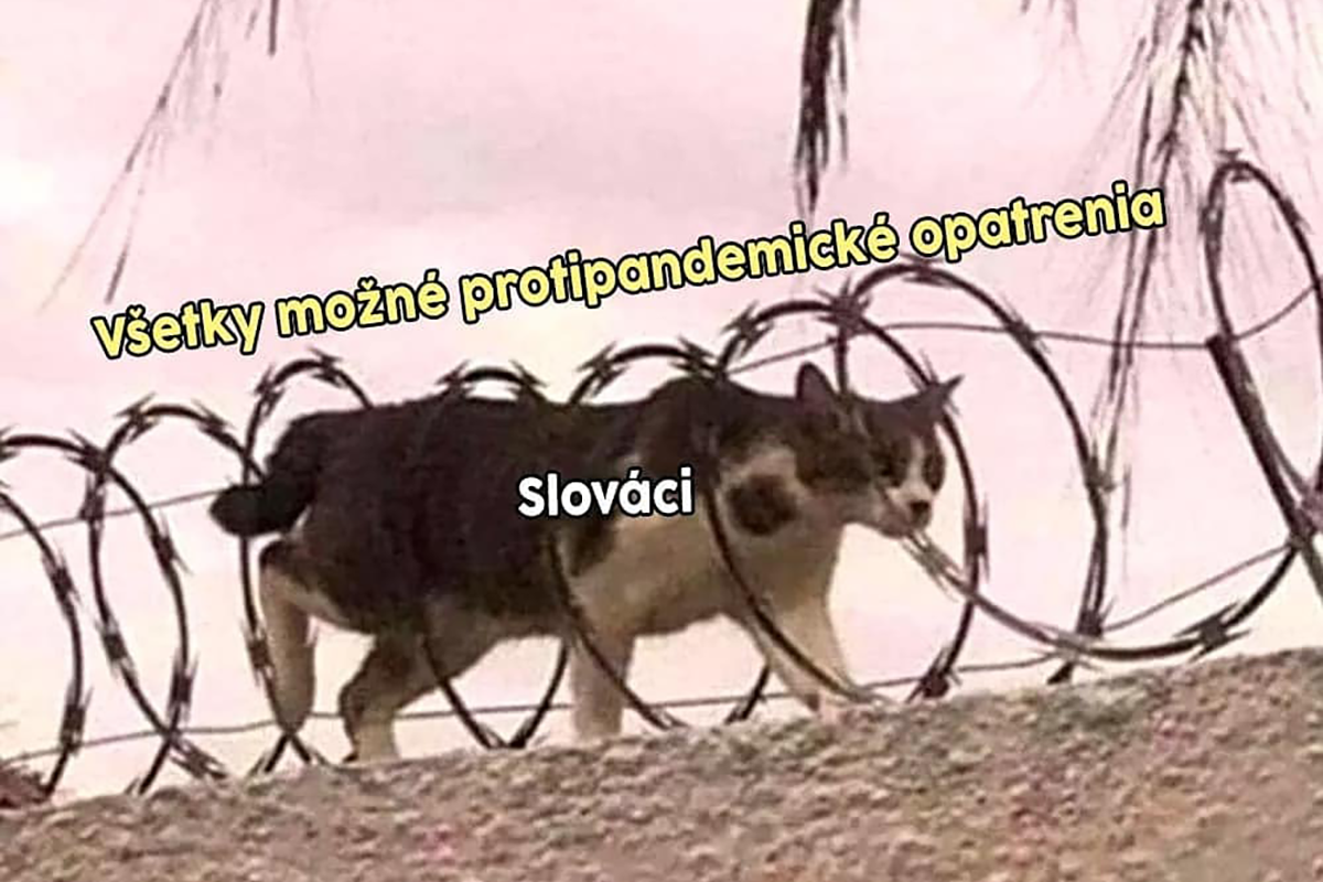 10 najlepších memes uplynulého týždňa #18