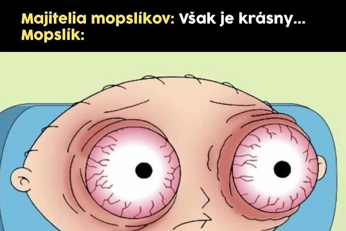 10 najlepších memes uplynulého týždňa #13