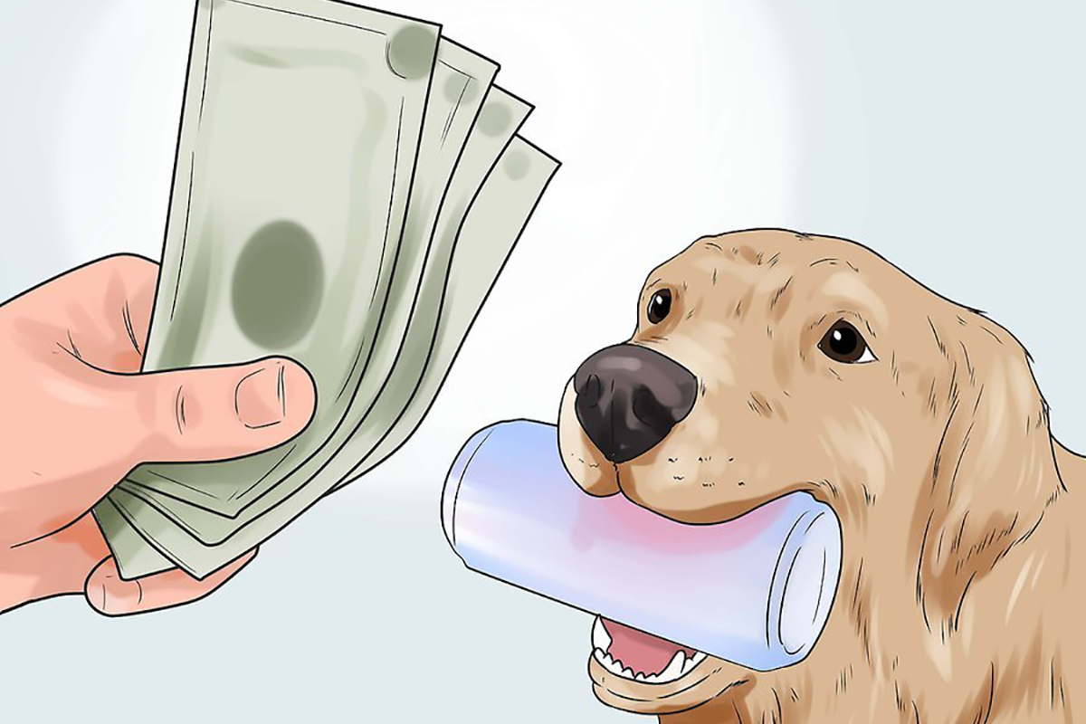 Svet sa konečne dozvedel, ako sa rodia bizarné ilustrácie z webu WikiHow