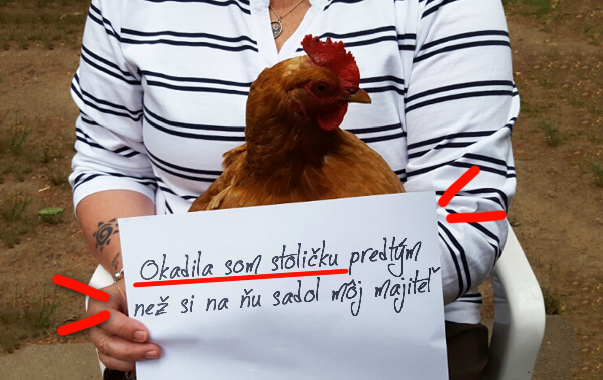 Nový trend medzi farmármi: delia sa o to, čo im vyparatili ich sliepky