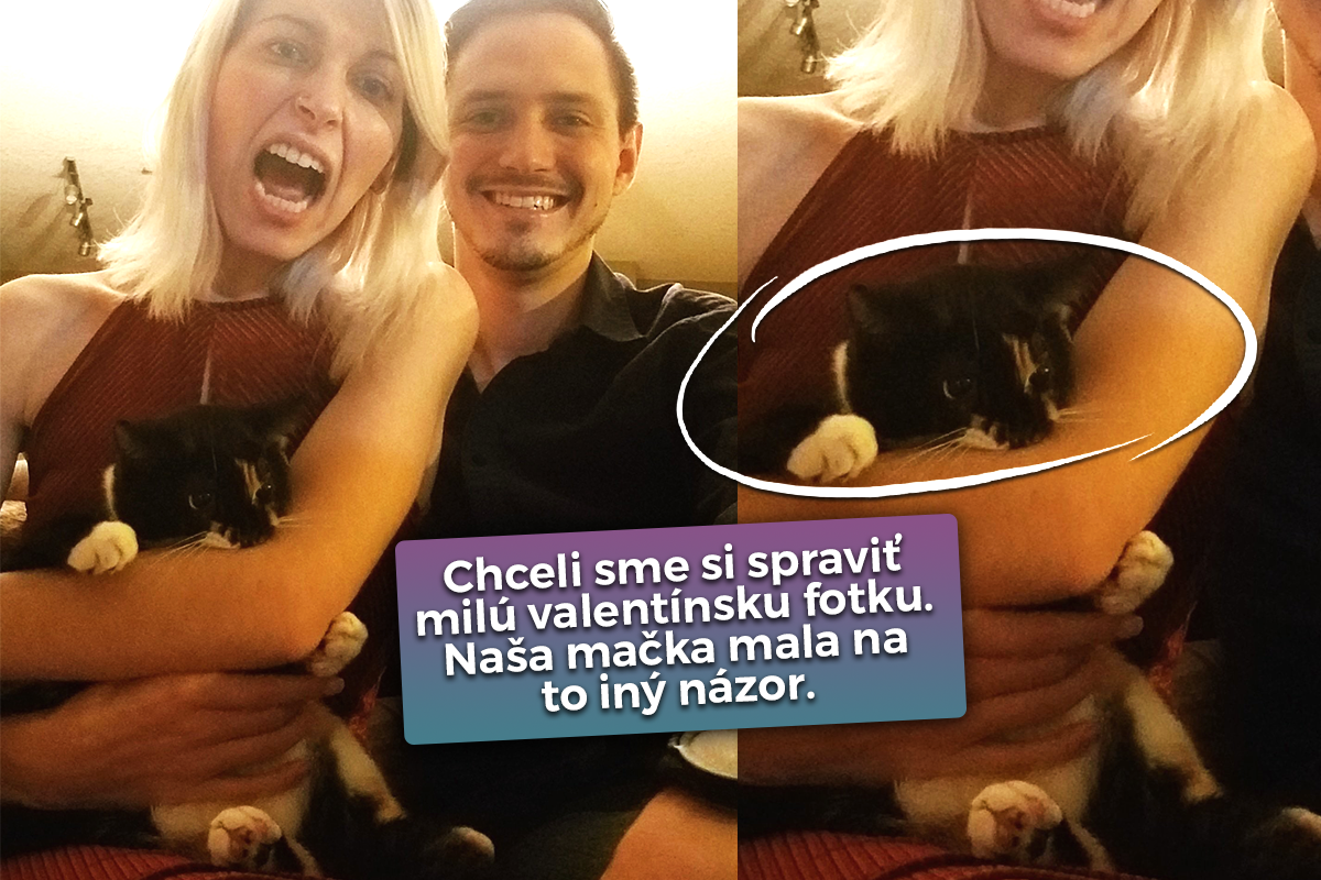 Fotografie, ktoré sú dôkazom toho, že mačky sú poslovia diabla