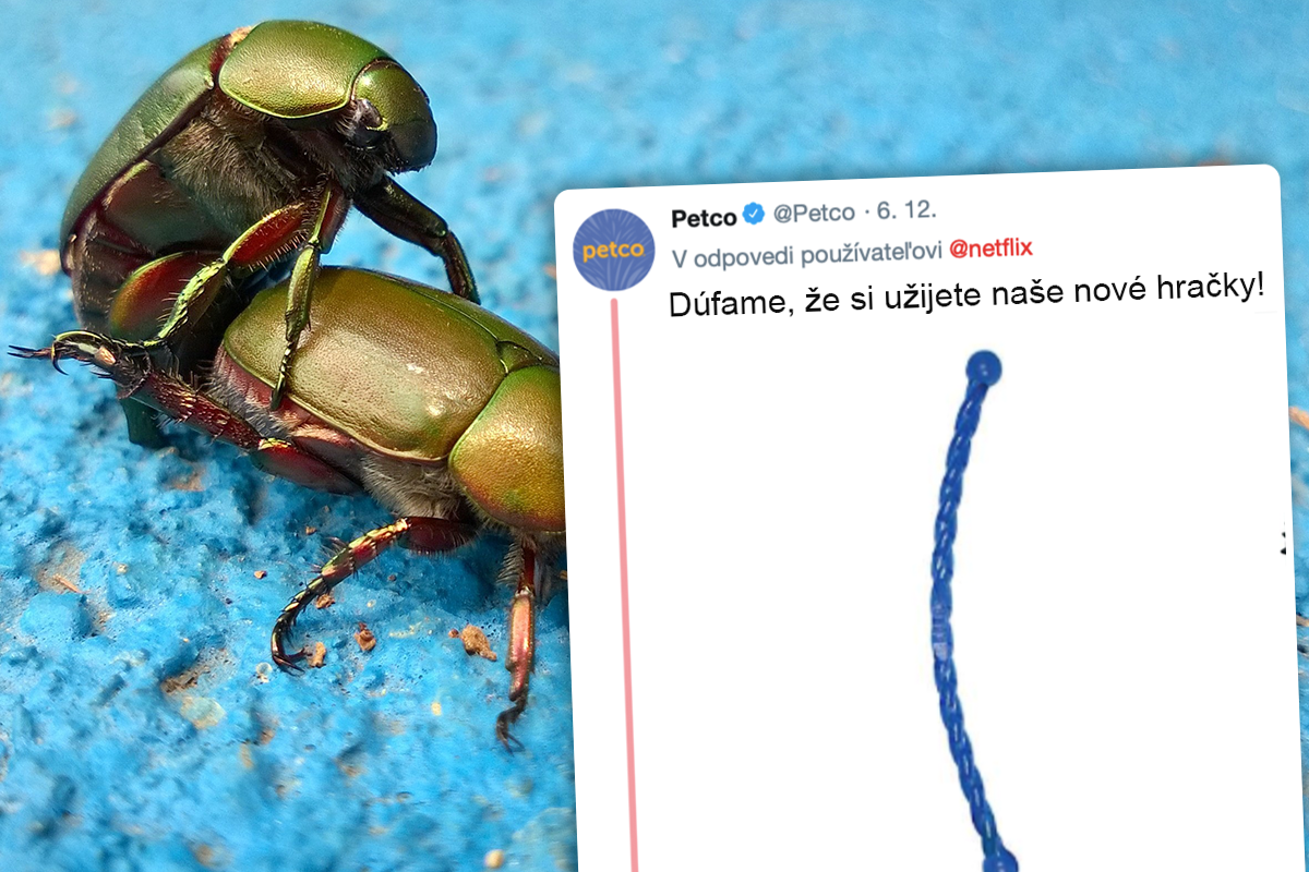 Značky preukázali svoju kreativitu v novej výzve, ktorá ovládla Twitter