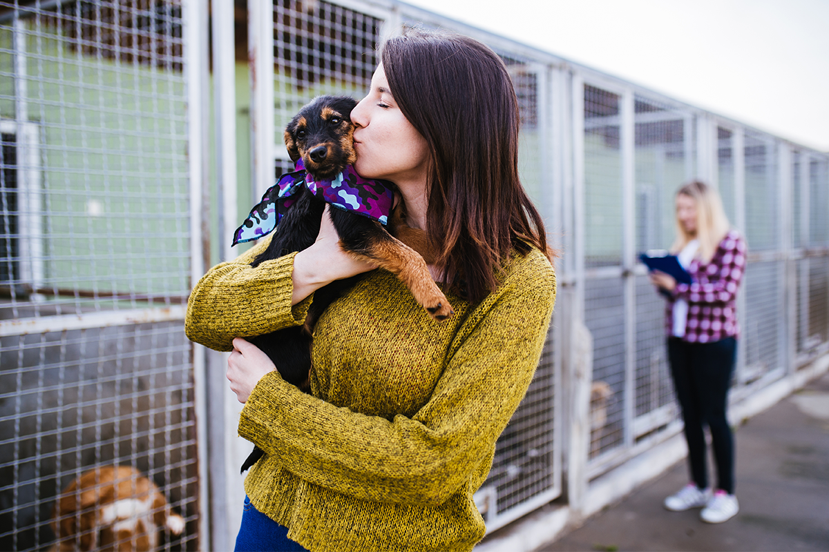 21 fotografií rozkošných zvieratiek, ktoré sú tesne po adopcii šťastím bez seba