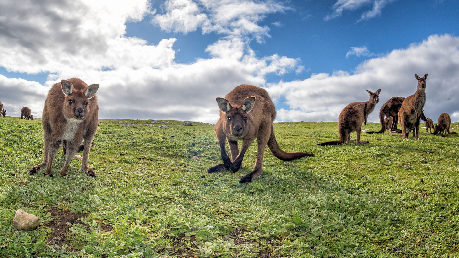 10 jazykových zaujímavostí z austrálskej angličtiny, ktoré ťa prekvapia