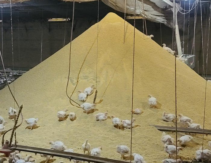 Nešťastie sa im lepí na päty. Títo smoliari majú jednoznačne horší deň ako ty