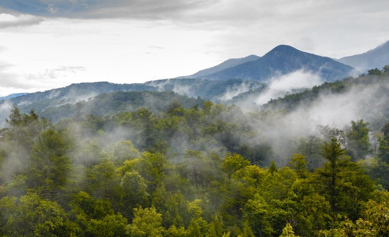 zmiznutie, záhada, desivé miesto, národný park, Great Smoky Mountains