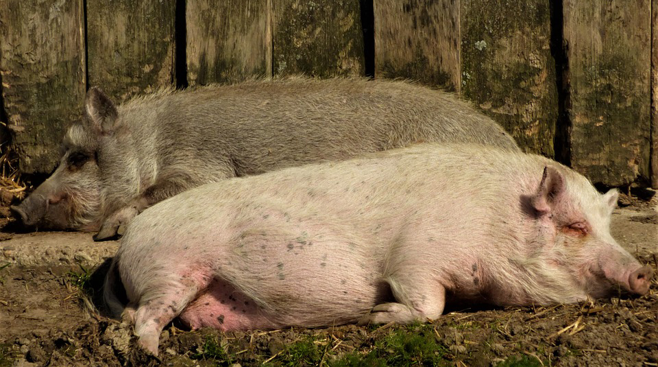 Nepríjemné veci, ktoré ťa môžu prekvapiť počas spánku