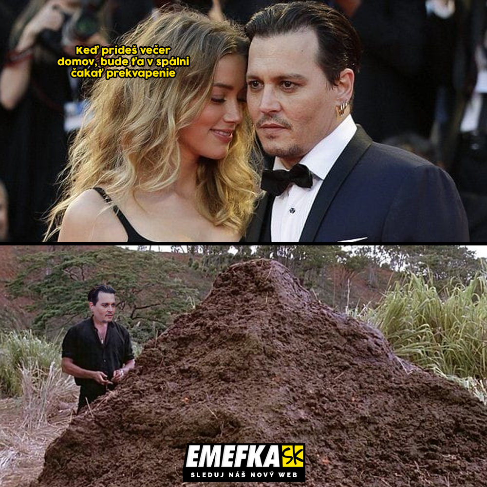 Depp vs. Heard súdny proces meme výkaly