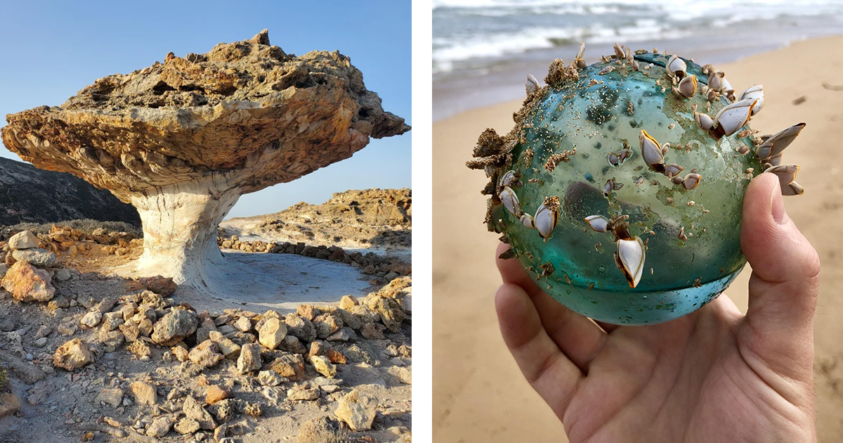 20 podivuhodných vecí, ktoré ľudia objavili na pláži - Emefka.sk