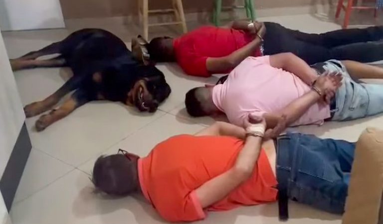 Strážny pes si počas policajného záťahu ľahol na zem