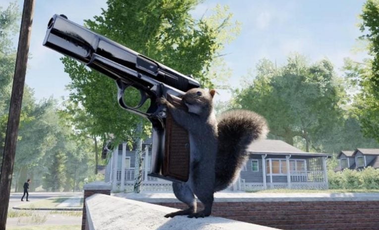 Squirrel with a Gun