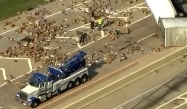 Poriadne bizarná nehoda. Na cestu sa vylial lubrikačný gél, na ktorom sa kĺzali hračky pre dospelých