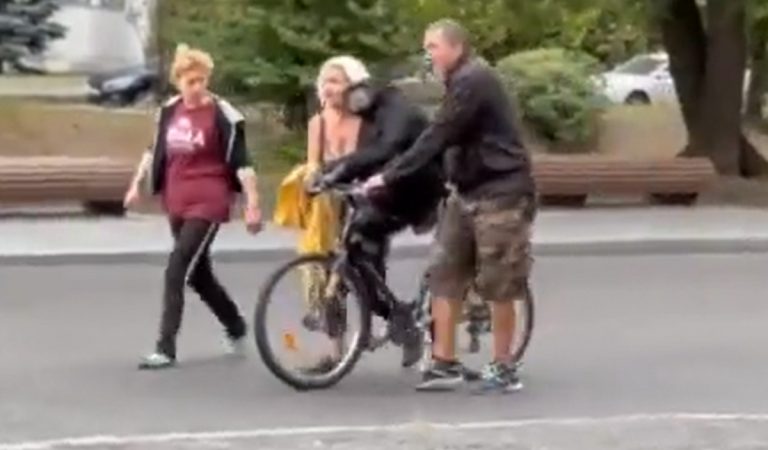 Z ukrajinskej zoologickej záhrady utiekol šimpanz. Späť sa vrátil na bicykli