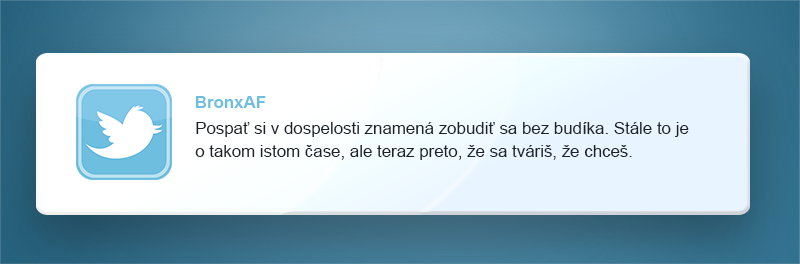 Twitter, vtipné tweety, zábavné príspevky, život po 25-ke, dospelosť