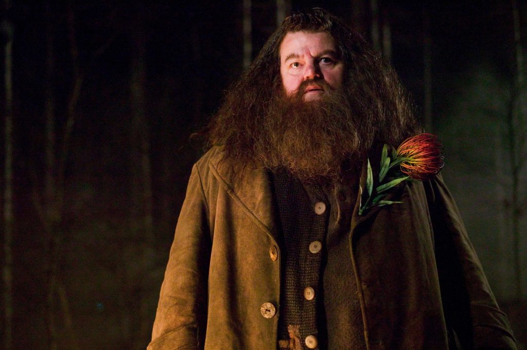 herec, úmrtie, Harry Potter, Robbie Coltrane, celebrity