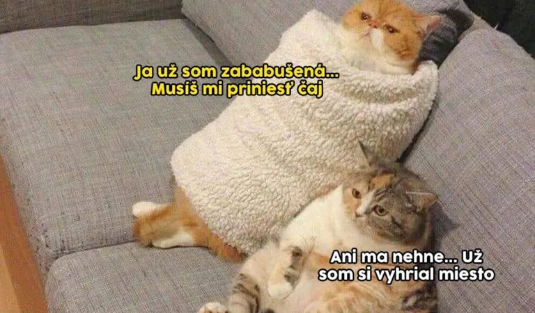 TOP 10 memes, ktoré vás bavili minulý týždeň najviac #44