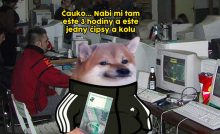 TOP 10 memes, ktoré vás bavili minulý týždeň najviac #43