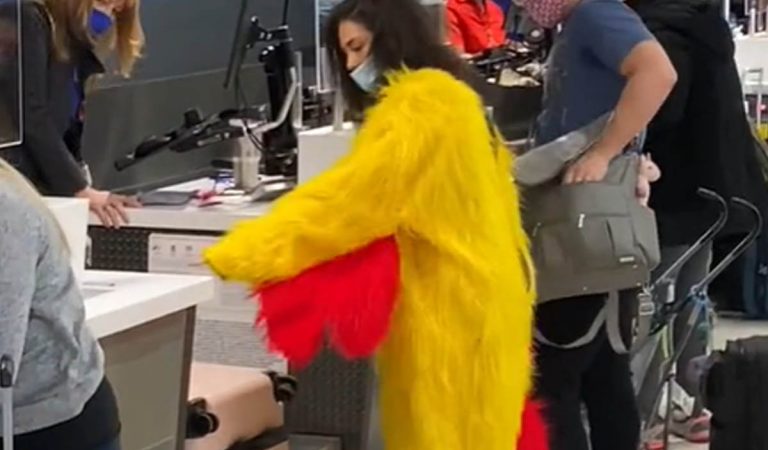 virál, check-in batožiny, letiskové poplatky, zvierací kostým, TikTok