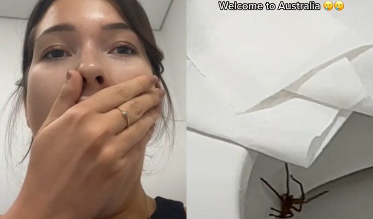 modelka, Austrália, pavúk, huntsman spider, TikTok, virálne video