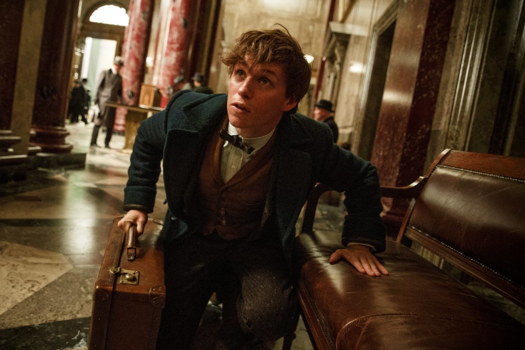 Warner Bros., Fantastické zvery, koniec ságy, Harry Potter, Ezra Miller