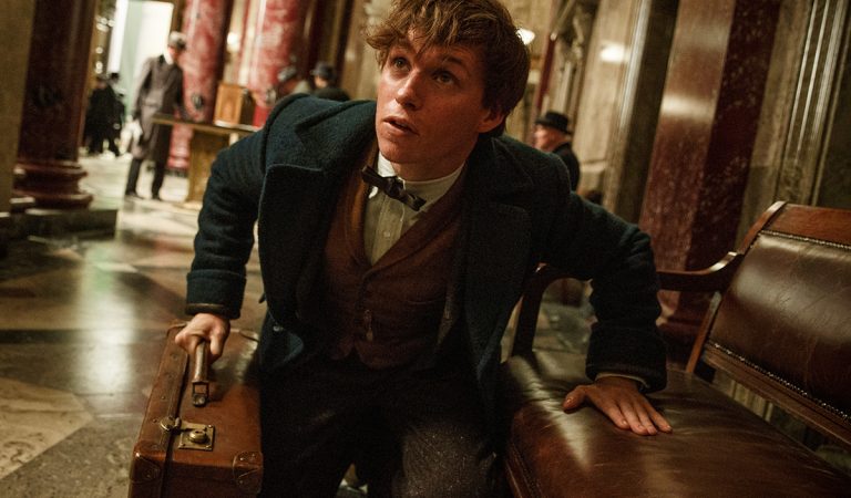 Warner Bros., Fantastické zvery, koniec ságy, Harry Potter, Ezra Miller