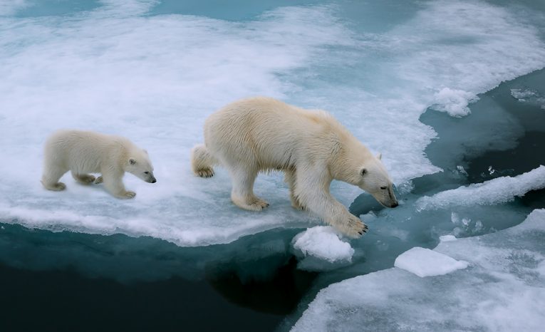 globálne otepľovanie, environmentálne problémy, fakty a zaujímavosti, životné prostredie, planéta sa otepľuje