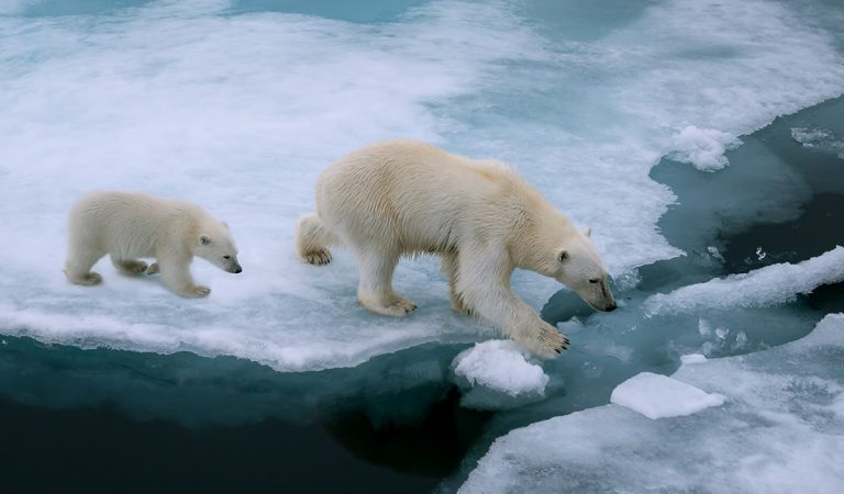 globálne otepľovanie, environmentálne problémy, fakty a zaujímavosti, životné prostredie, planéta sa otepľuje
