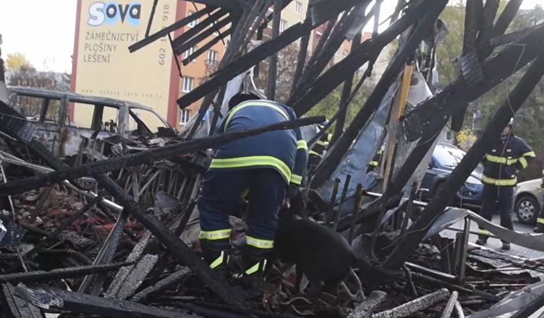 Česko, požiar, Chudov, Penny Market, opitý muž založil požiar