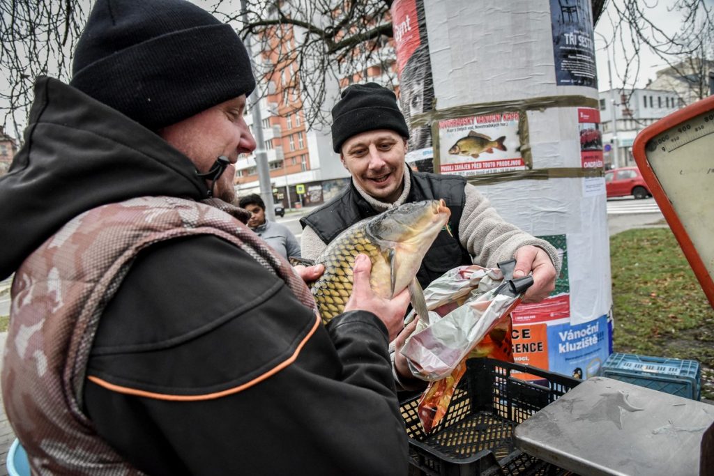 Slováci, Vianoce, kapor, Slováci nekupujú kaprov