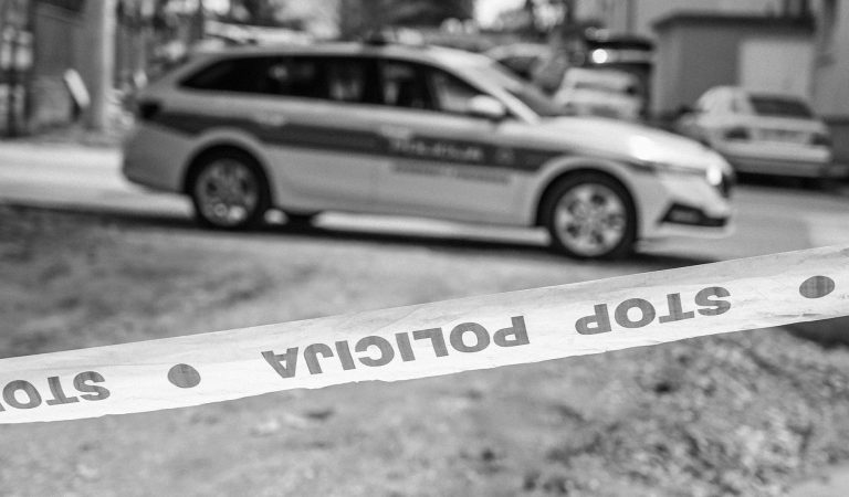 Chorvátsko, krimi, mŕtve telo v mrazničke, Jasmina Dominič, Smiljana Srnec, vražda
