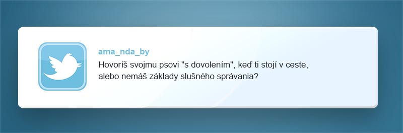 vtipné príspevky od žien, rok 2022, twitter, tweety, ženský zmysel pre humor, zábava, ženy