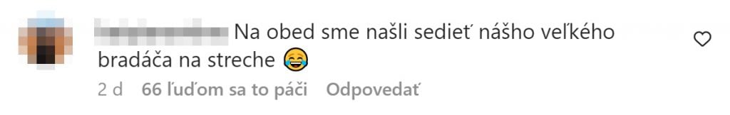 Slováci, vtipné príhody, rok 2022, bizár