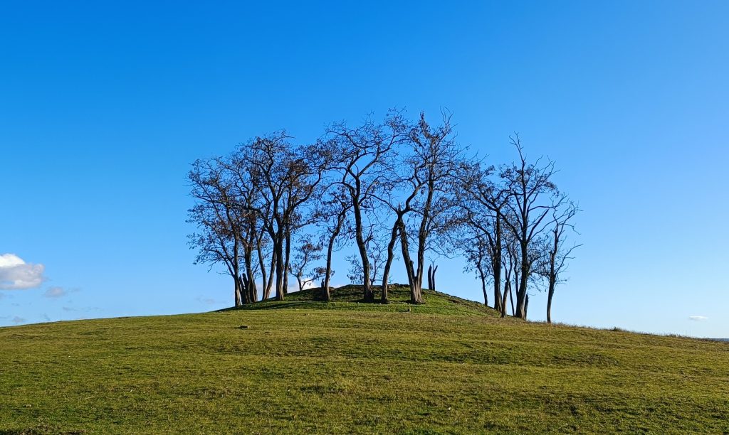 šibenica v Holiči, výskum, Slovensko, pamiatka