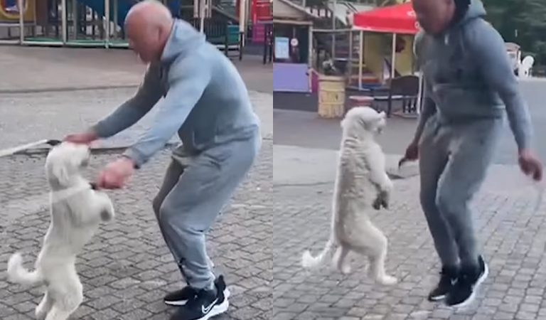 Psík skáčuci cez švihadlo sa môže tešiť zo zápisu v Guinnessovej knihe rekordov