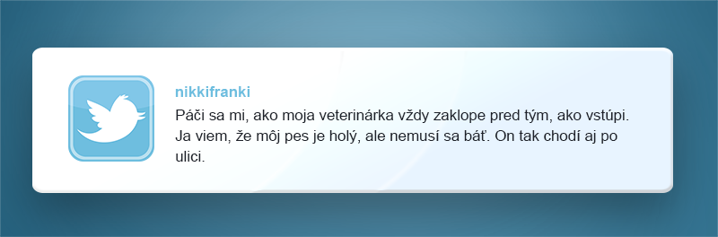 vtipne tweety, majitelia domácich zvieratiek, pes, mačka