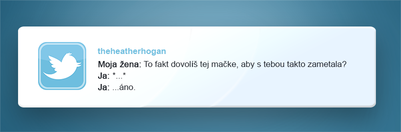 vtipne tweety, majitelia domácich zvieratiek, pes, mačka