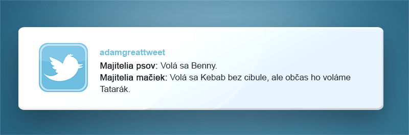 vtipne tweety, majitelia domácich zvieratiek, pes, mačka