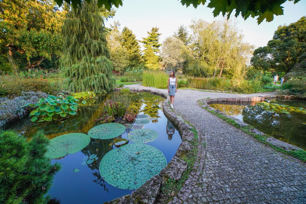 botanická záhrada, Bratislava, rastliny, tip na výlet