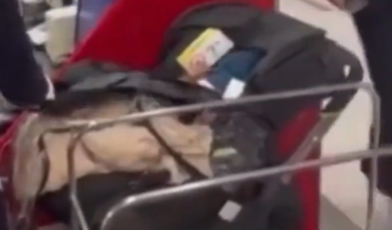 Nechceli priplatiť za detskú sedačku, tak ju nechali na letisku. Aj s jej obsahom