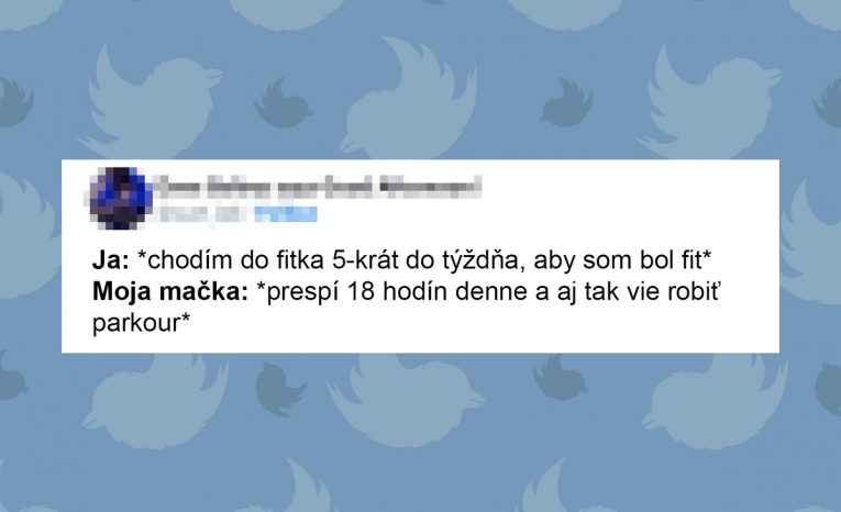 vtipne tweety, majitelia domácich zvieratiek, pes, mačka