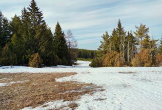 Psychológia za klímu, úbytok snehu, klimatická kríza