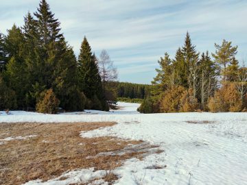 Psychológia za klímu, úbytok snehu, klimatická kríza