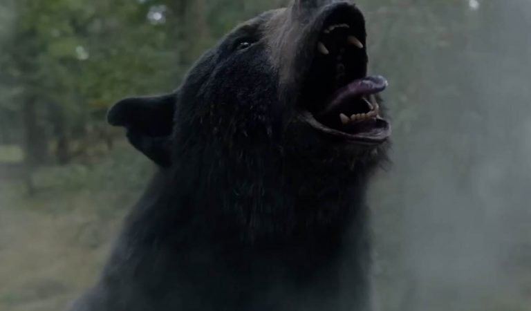Trilerová komédia Medveď na kokse ponúkne netradičný filmový zážitok. Aké zaujímavosti sa s ňou spájajú?