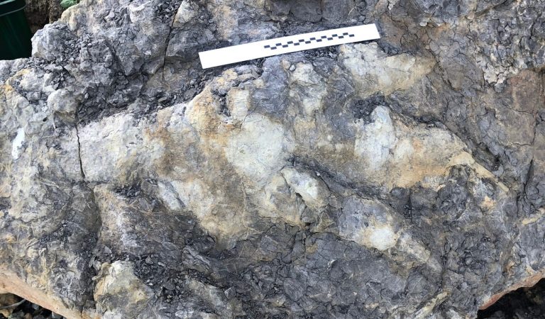 Na pobreží Anglicka objavili rekordne veľkú stopu mäsožravého dinosaura