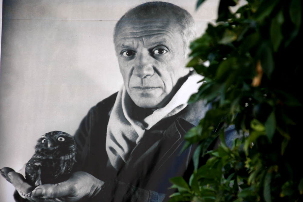 fakty a zaujímavosti, Pablo Picasso