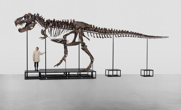 kostra, dinosaurus, dražba, tyranosaurus rex
