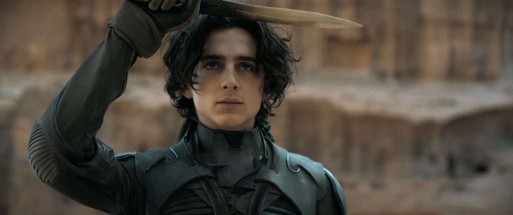 herec, MCU, Marvel, Timothée Chalamet