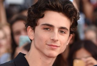 herec, MCU, Marvel, Timothée Chalamet, herci, ktorí odmietli úlohu v MCU